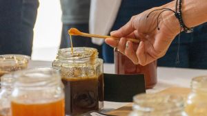 Cómo se busca contar con más abejas en Neuquén de la mano de la educación