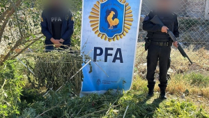 Operativo antinarco en Roca: detuvieron a una mujer durante un allanamiento