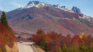 San Martín de Los Andes se anticipa al invierno: si reservás hoy, pagás $80.000 por una cabaña para 4
