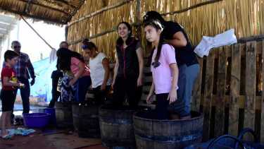 La familia Moschini lanzó una nueva Fiesta del Vino Patero en abril. Foto: gentileza