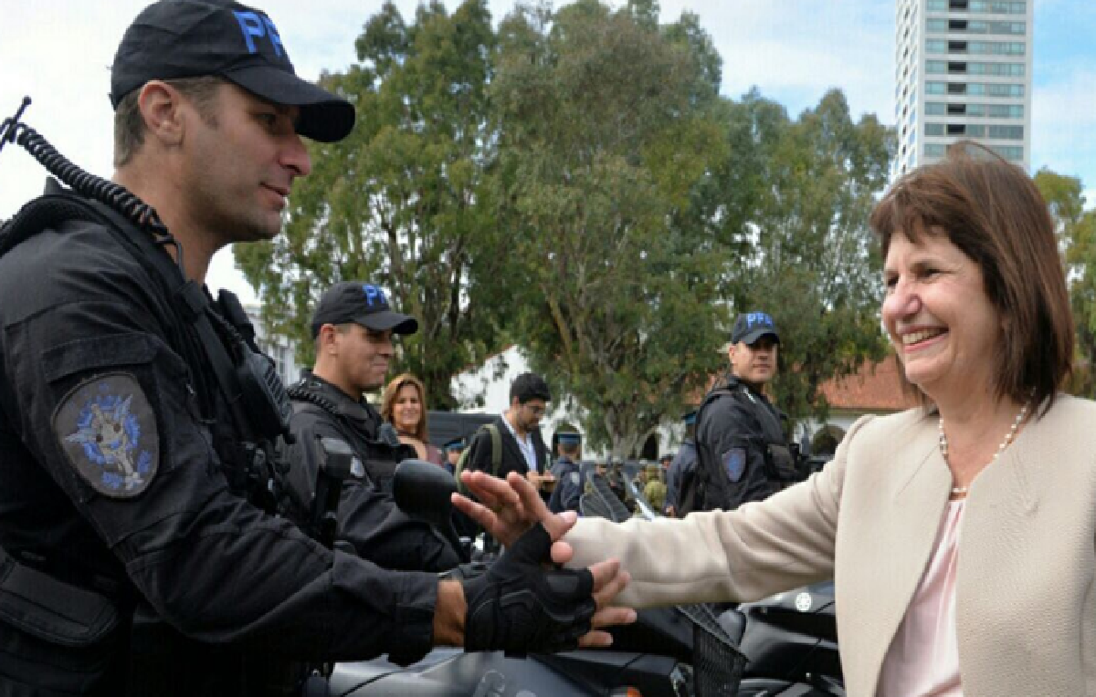 Patricia Bullrich celebró los allanamientos a desarmaderos en Zapala: "Contra la mafia" (Foto: archivo)