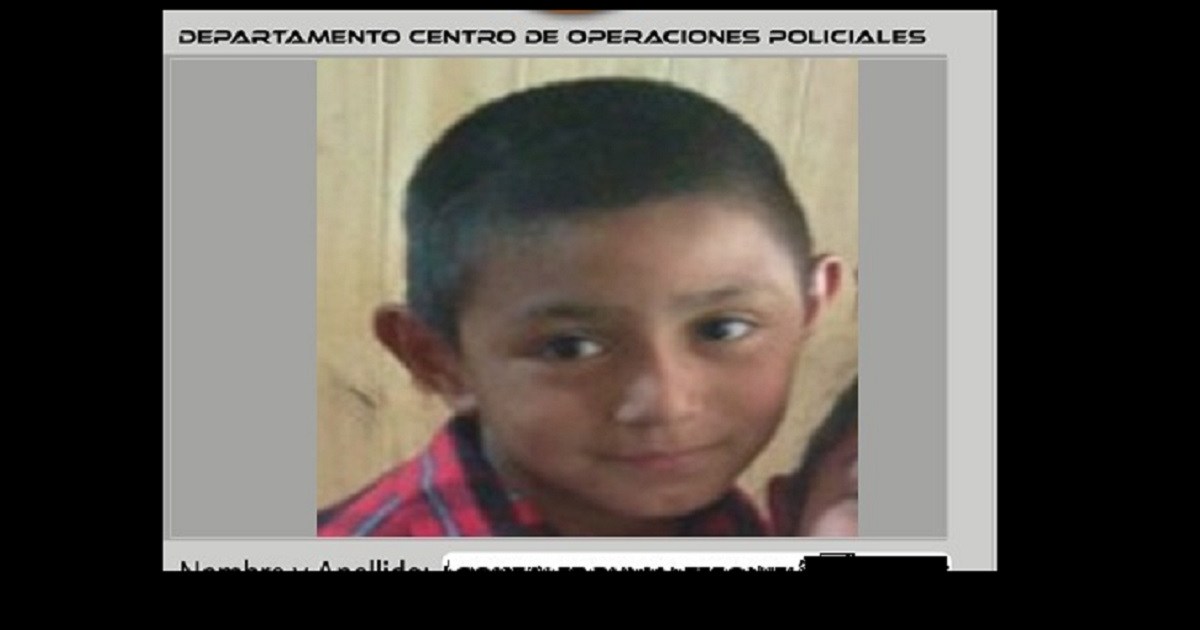 Intensa búsqueda de un niño de 10 años en San Martín de los Andes thumbnail