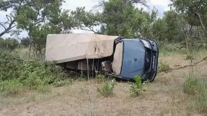 Video | Safari trágico en África: un elefante embistió una camioneta y murió una mujer de 80 años
