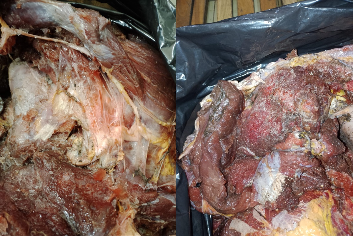 Encuentran más de 30 kilos de carne en mal estado en un comercio de Cipolletti 