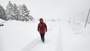 Video | Varados en el paraíso: cayó medio metro de nieve en una joya de la Patagonia y los turistas no se pueden ir