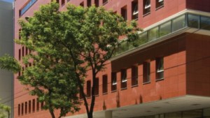 Cómo la práctica médica está incorporando la inteligencia artificial (y qué desafíos trae)