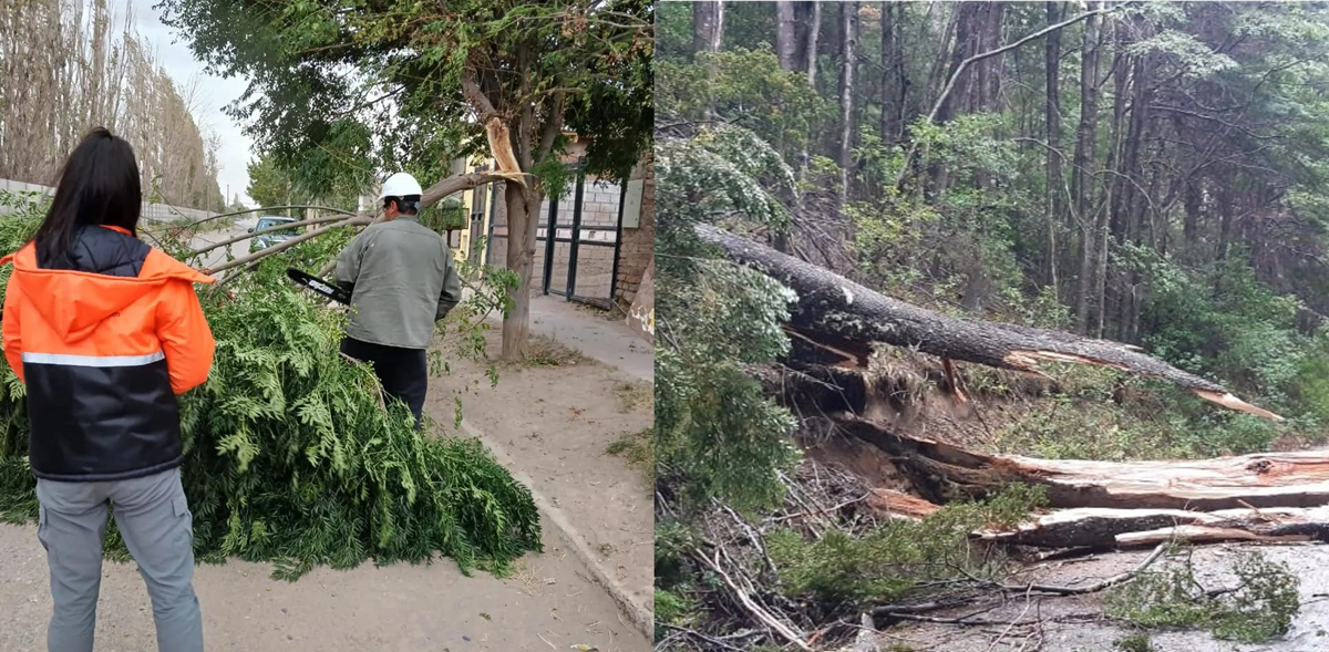 Los fuertes vientos en Río Negro y Neuquén dejaron destrozos.