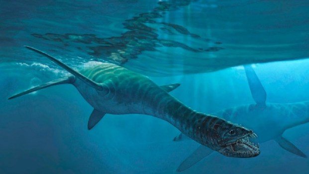 Exhiben un reptil que inspiró al Nahuelito y al monstruo del Lago Ness en El Chocón