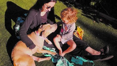Este 29 de abrill se celebra el Día de Animal en Argentina. Foto archivo. 