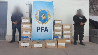 En el patio de su casa tenía 22 plantas de marihuana, en Roca