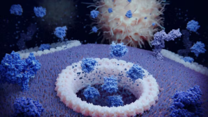 Beneficios y riesgos del inflamasoma, pieza clave de los procesos inflamatorios