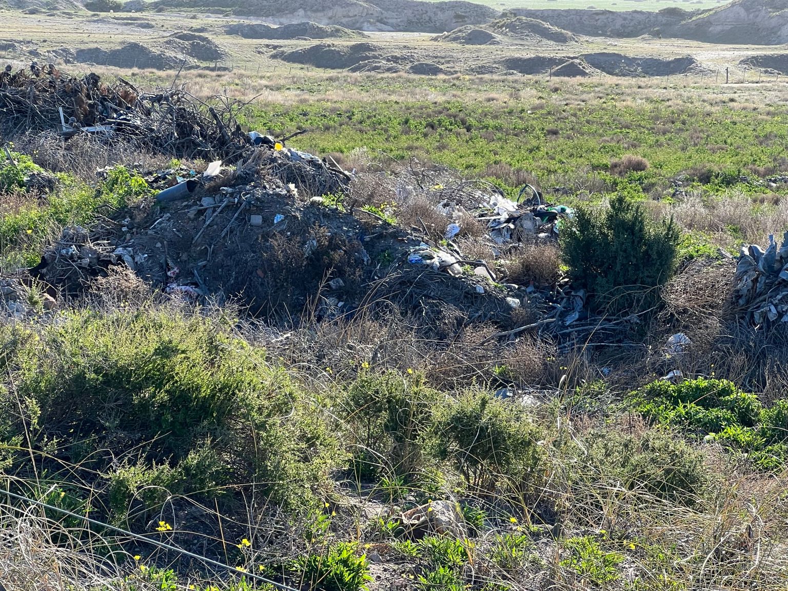 La colonia de loros m&aacute;s grande del mundo a&uacute;n sigue sin protecci&oacute;n