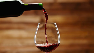 El Malbec se posiciona como marca registrada de la Argentina: ¿Cuál es el panorama en la Patagonia?