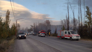 Voraz incendio en la vera de la ruta en Cinco Saltos: afectó varias hectáreas