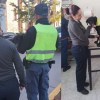 Imagen de Piden ayuda para «Jefa», la perrita que patrulla junto a la Policía el centro de Neuquén