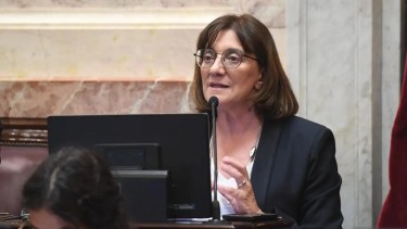 Tras el "bloqueo" de Weretilneck y Silva, el oficialismo constituyó comisiones en el Senado