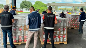 Dengue: Llegó a la Argentina una donación desde México con 22 mil repelentes 