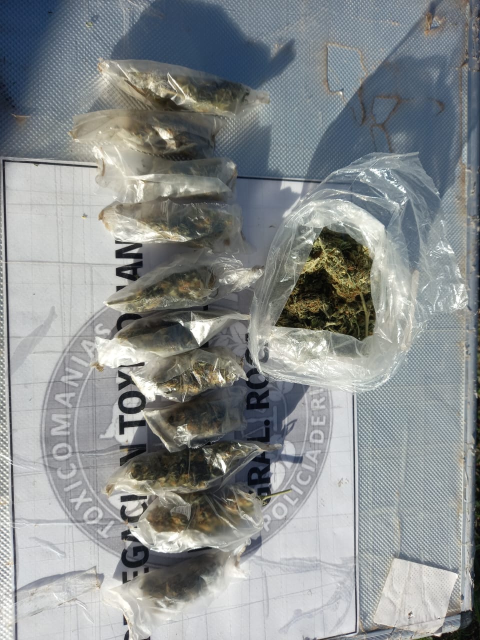El sujeto transportaba la marihuana en una mochila. foto: gentileza.