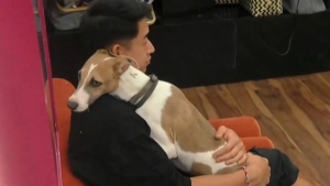 Arturo, el perro de Gran Hermano, eligió a Martín Ku como su nuevo mejor amigo