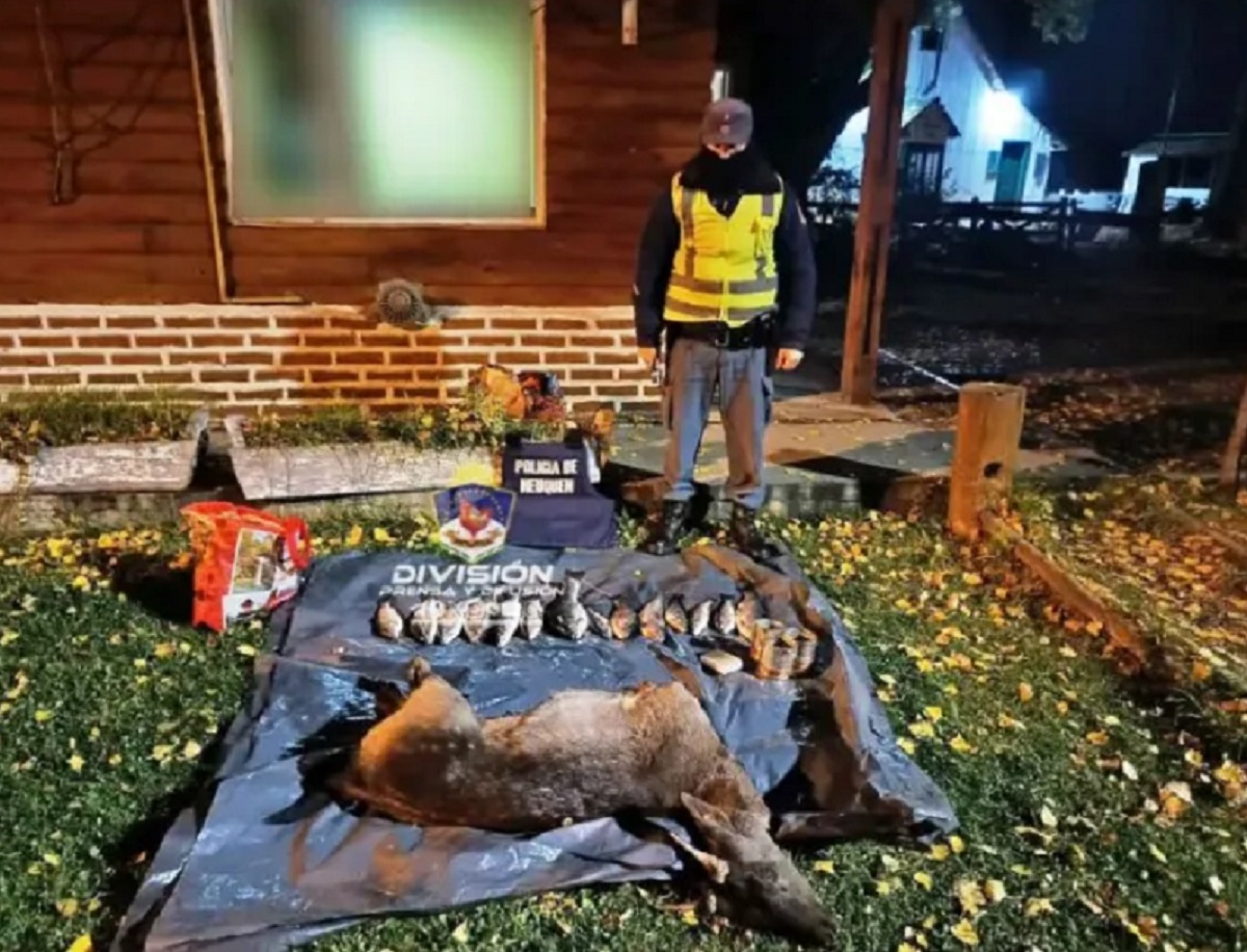 Caza furtiva: los detuvieron en la Ruta 40 con un ciervo y varias truchas, eran de Bariloche. Foto: gentileza