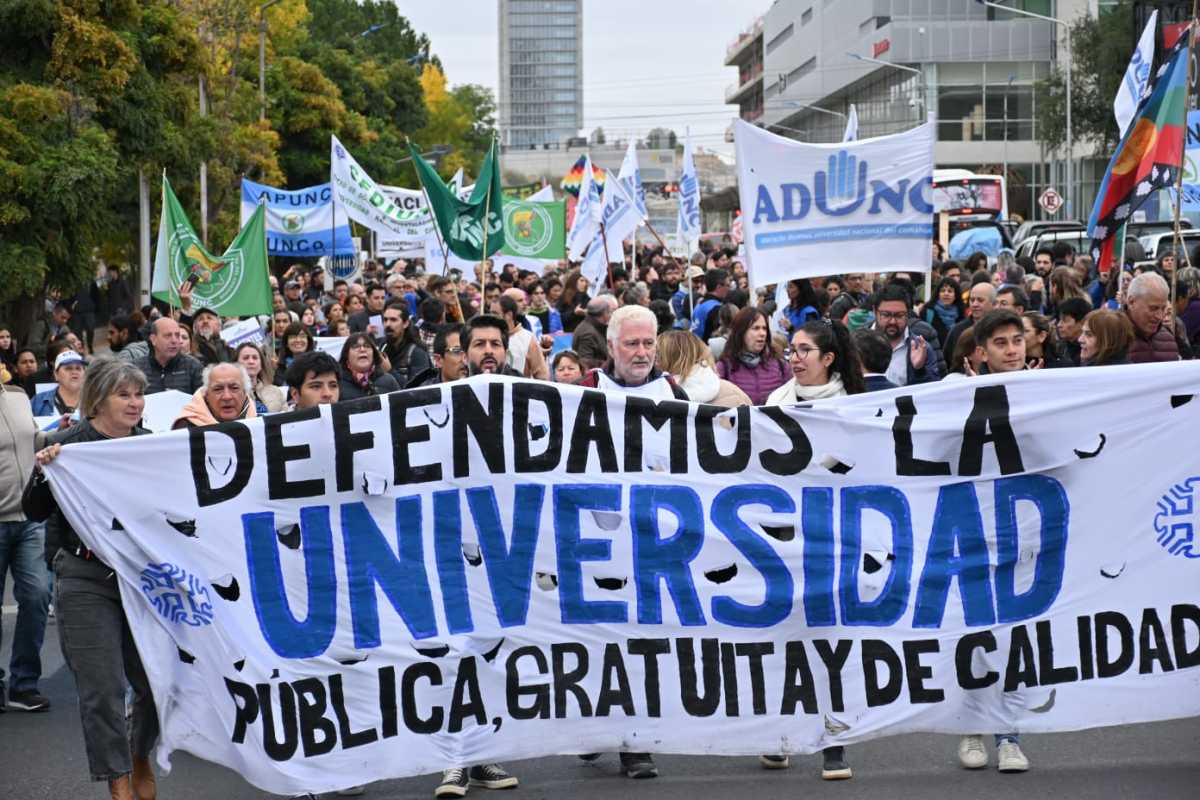 El Gobierno aseguró el pago de fondos a universidades Foto: Florencia Salto