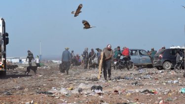 El predio está ubicado detrás del Complejo Ambiental municipal, cercano a la Colonia Rural Nueva Esperanza. Foto Matías Subat.