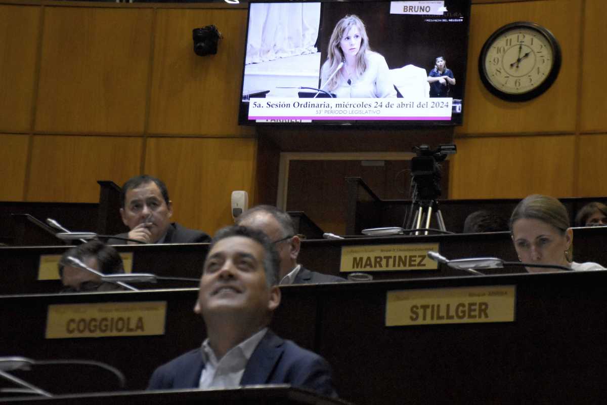 La Cámara sesionó ayer con un extenso temario que incluyó una mayoría de declaraciones de interés. Foto: Matías Subat.