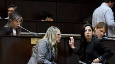 Carina Riccomini transita su segundo mandato como diputada de un partido aliado al MPN. Foto: Matías Subat.
