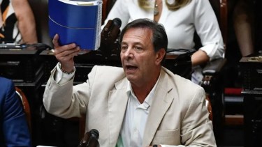 Zago habló en la previa al tratamiento de la nueva Ley Bases. Foto Archivo.