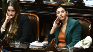 Marcela Pagano reapareció en Diputados, en el tratamiento de la Ley Bases