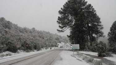 Video: llegó la nieve a Villa Pehuenia Moquehue y brilla con su aspecto encantador