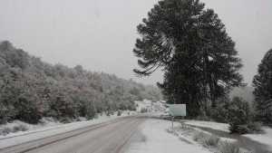 Alerta por nieve y viento en Neuquén este martes: ráfagas de hasta 100 km/h