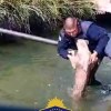 Imagen de Policía rescató a un perro que se ahogaba en un canal de Centenario