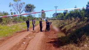 Conmoción en Misiones: un hombre de 64 años murió tras ser atacado por perros pitbull