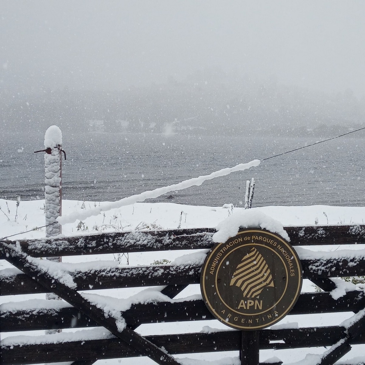 El Parque Lanín se vistió de blanco por primera vez en el año y regaló verdaderas postales con nieve
