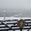 Imagen de El Parque Lanín se vistió de blanco por primera vez en el año y regaló verdaderas postales con nieve