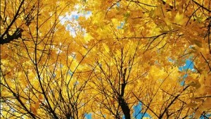 Cómo va a estar este jueves 25 de abril: este es el pronóstico para Neuquén y Río Negro