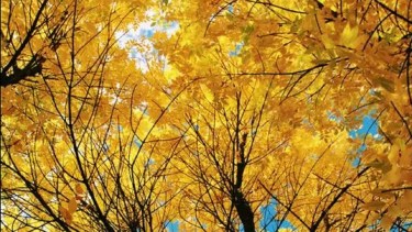 Cómo va a estar este jueves 25 de abril: este es el pronóstico para Neuquén y Río Negro