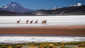 Viaje por la Ruta de los Seismiles, el secreto mejor guardado del norte de la Argentina