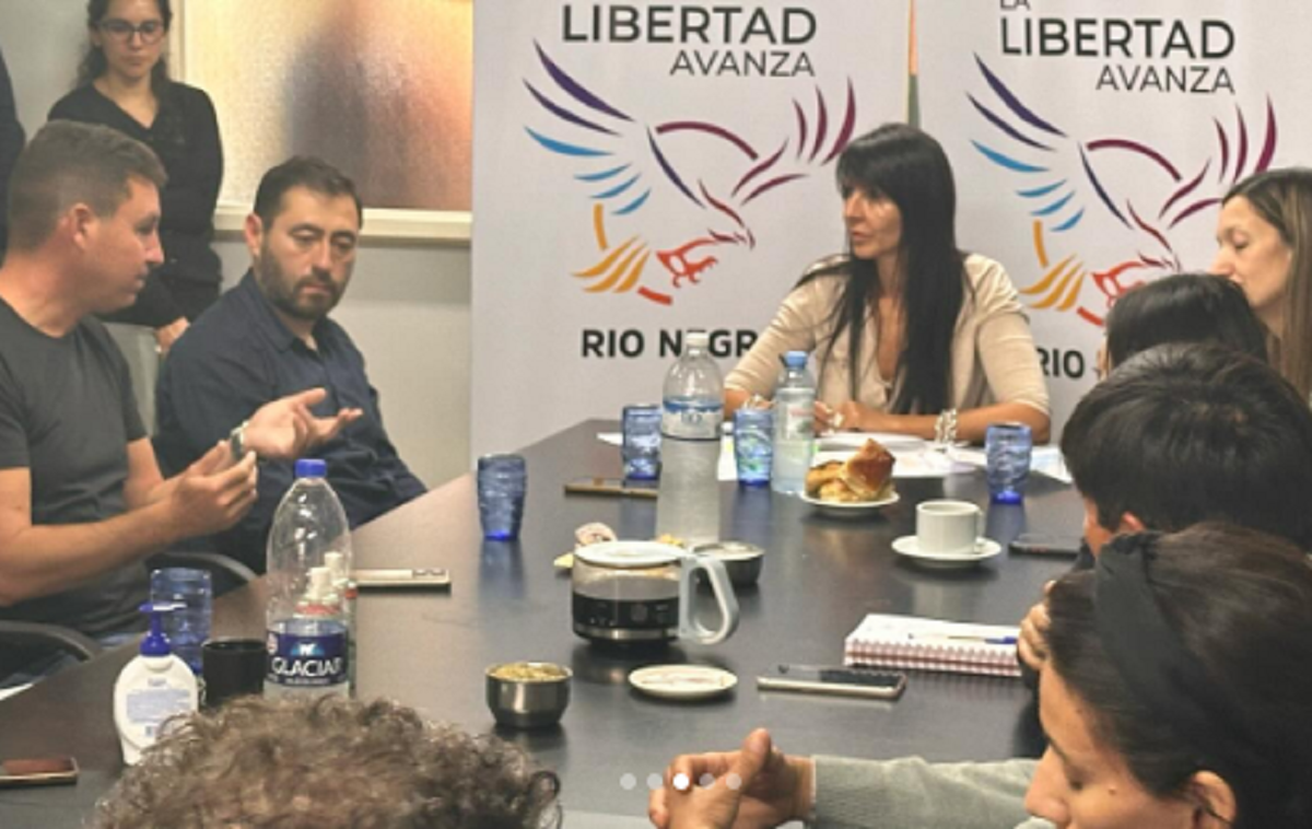 La diputada de LLA encabezó una reunión con intendentes radicales y Diego Ramello, de JSRN. Gentileza