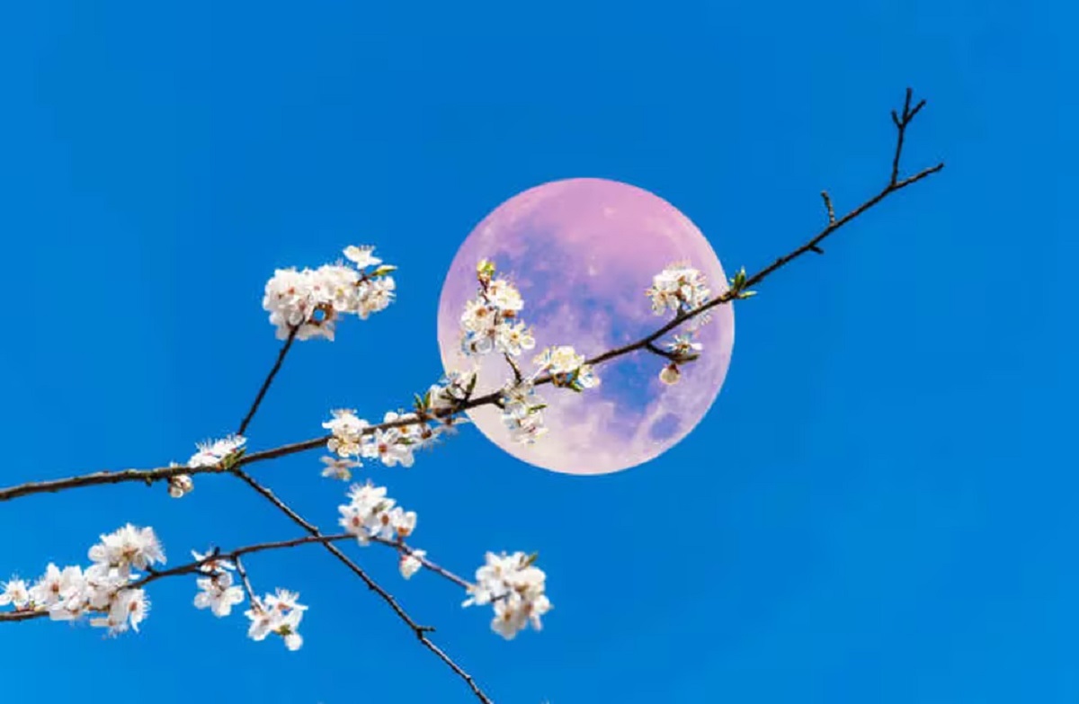 La Luna Llena Rosa es un importante evento energético.-