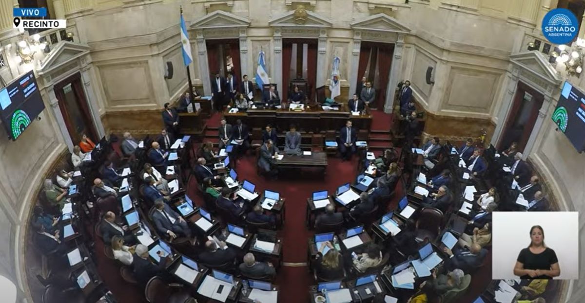 El gobierno busca los votos para sacar la Ley de Bases y el paquete fiscal. Foto: Captura Senado 
