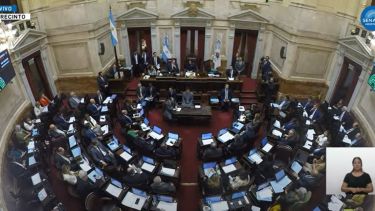 El gobierno busca los votos para sacar la Ley de Bases y el paquete fiscal. Foto: Captura Senado 