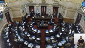 En vivo Ley Bases en el Senado: seguí el minuto a minuto del debate en comisión