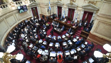 Se estima que la Ley Bases podría debatirse en el recinto del Senado el jueves 16 de mayo. 