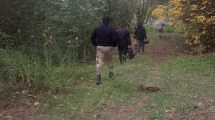 Imagen de Mató y faenó una vaca Hereford de 150 kilos y ahora le formularon cargos por abigeato en Villa Regina