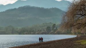 Chile también tiene su Ruta de los 7 lagos en la Patagonia, mirá cómo recorrerla