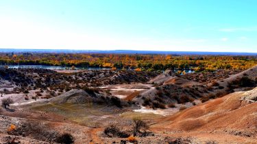 Fin de semana en Alto Valle: Allen festeja su aniversario y propone turismo y diversión