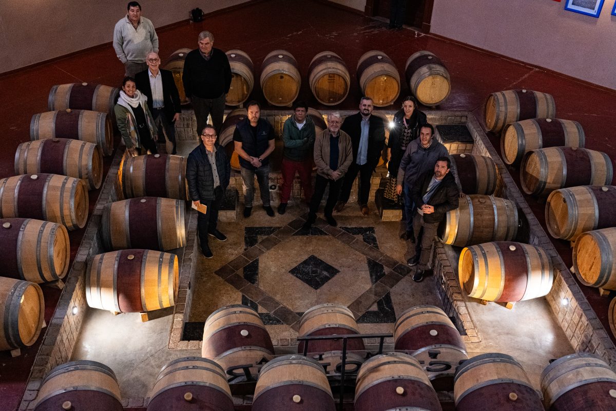 Vinos neuquinos. Importadores de Brasil participaron de una misión inversa vitivinícola.