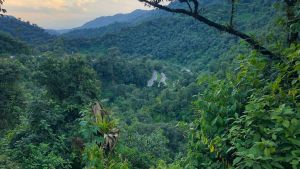 La ruta escénica con 1294 curvas, que es la más espectacular del norte argentino 